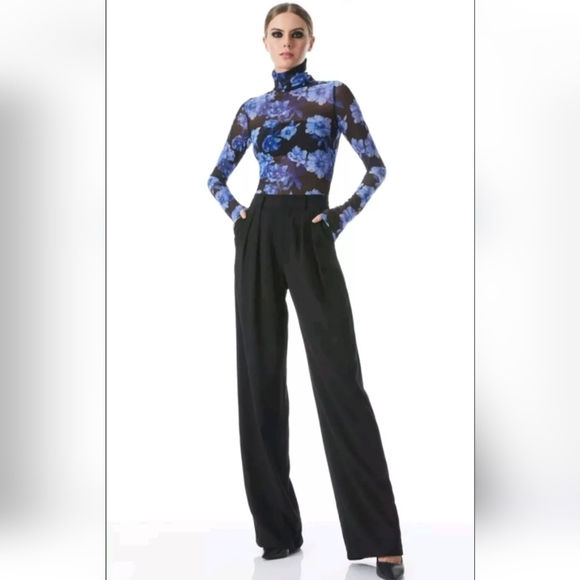 Alice + Olivia DELAINA LONG SLEEVE TURTLENECK MESH TOP SIZE XL - Picture 10 of 16